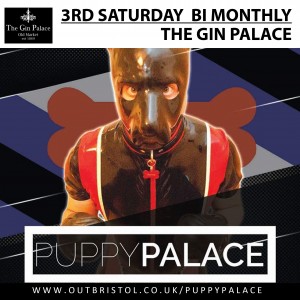 puppy palace icon